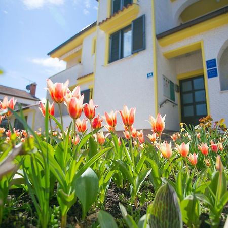 Apartment House Matosevic Poreč Dış mekan fotoğraf