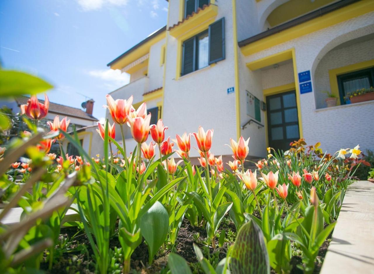 Apartment House Matosevic Poreč Dış mekan fotoğraf